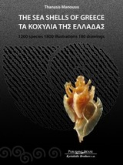 Εικόνα Τα κοχύλια της Ελλάδας