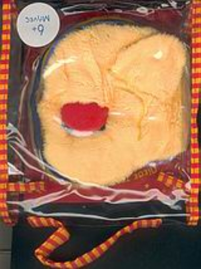 Εικόνα Το παπάκι μου