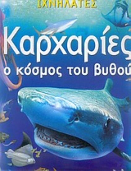 Εικόνα Καρχαρίες