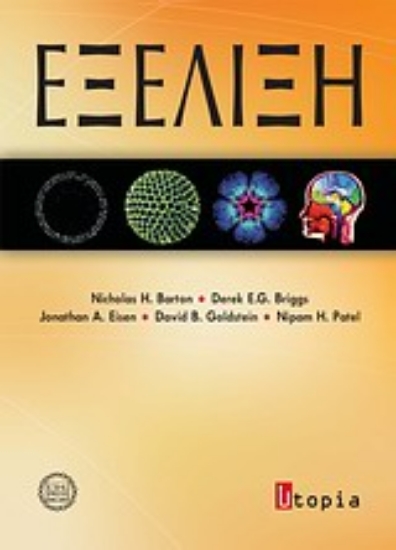 Εικόνα Εξέλιξη