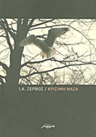 Εικόνα Κρίσιμη μάζα