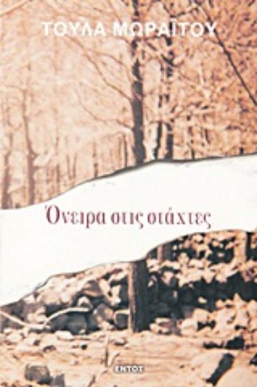 Εικόνα Όνειρα στις στάχτες