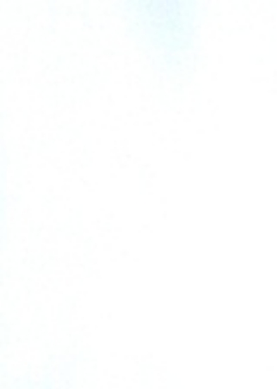 Εικόνα Διεθνής οικονομική