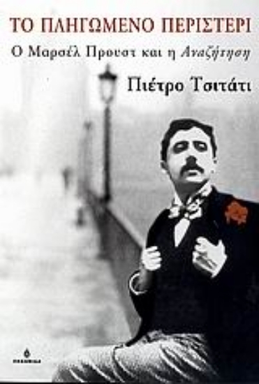 Εικόνα Το πληγωμένο περιστέρι