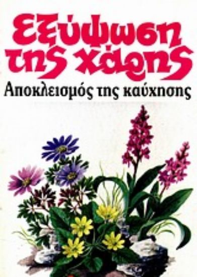 Εικόνα Εξύψωση της χάρης, αποκλεισμός της καύχησης