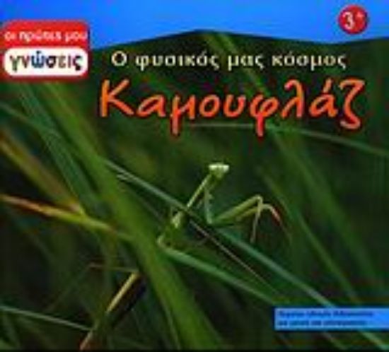 Εικόνα Καμουφλάζ