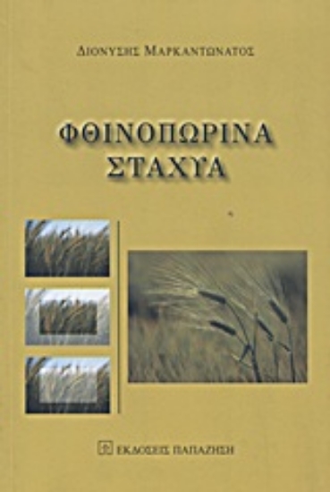Εικόνα Φθινοπωρινά στάχυα