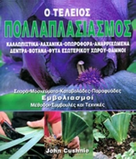 Εικόνα Ο τέλειος πολλαπλασιασμός