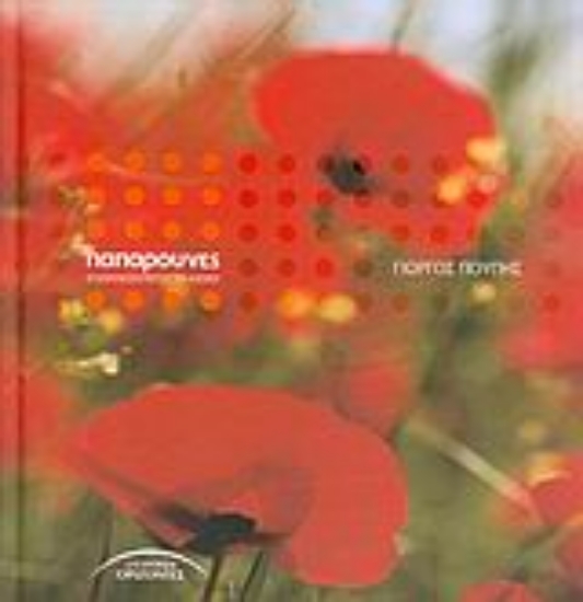 Εικόνα Παπαρούνες