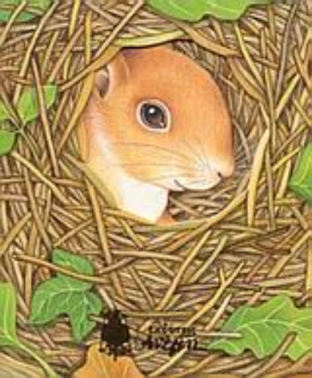 Εικόνα Το σπιτάκι του σκίουρου