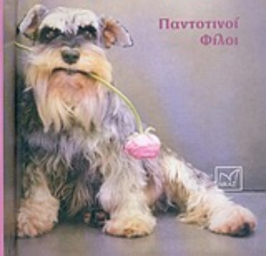 Εικόνα Παντοτινοί φίλοι