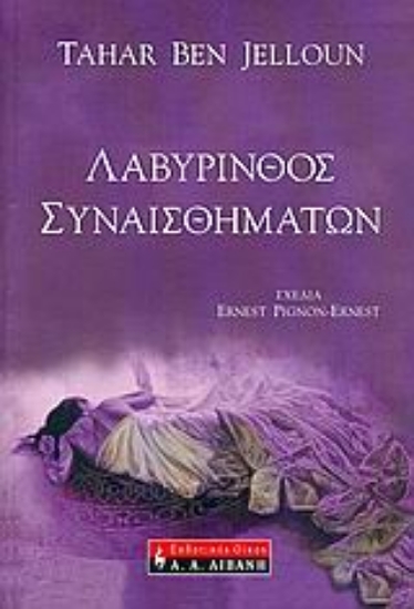 Εικόνα Λαβύρινθος συναισθημάτων