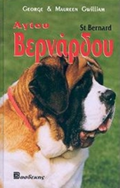 Εικόνα της Όλα όσα πρέπει να γνωρίζετε για το σκύλο Αγίου Βερνάδρου