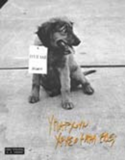 Εικόνα Υπάρχουν χρυσόψαρα εδώ;