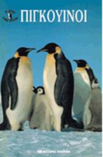 Εικόνα Πιγκουίνοι