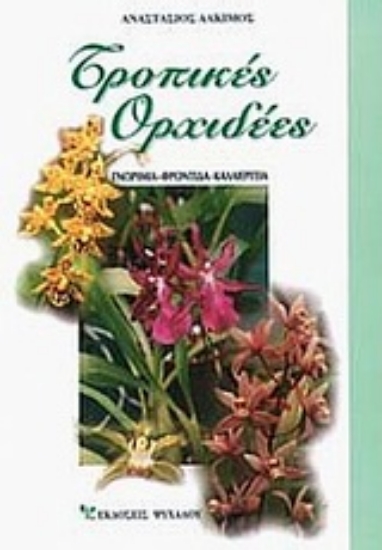 Εικόνα Τροπικές ορχιδέες