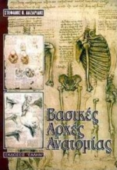 Εικόνα Βασικές αρχές ανατομίας