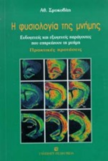Εικόνα Η φυσιολογία της μνήμης
