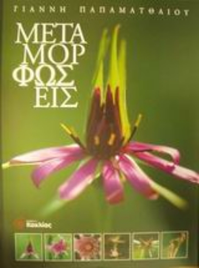 Εικόνα Μεταμορφώσεις