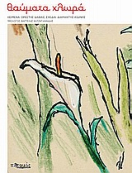 Εικόνα Θαύματα χλωρά