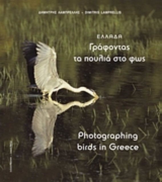 Εικόνα της Ελλάδα, γράφοντας τα πουλιά στο φως