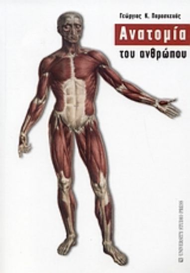 Εικόνα Ανατομία του ανθρώπου