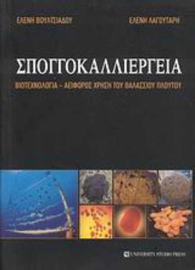 Εικόνα Σπογγοκαλλιέργεια