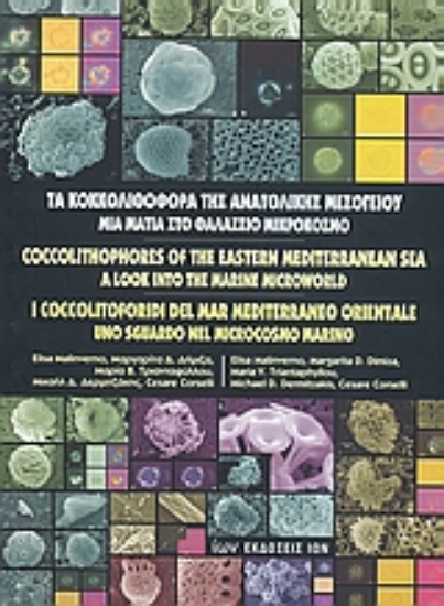 Εικόνα Τα κοκκολιθοφόρα της ανατολικής Μεσογείου
