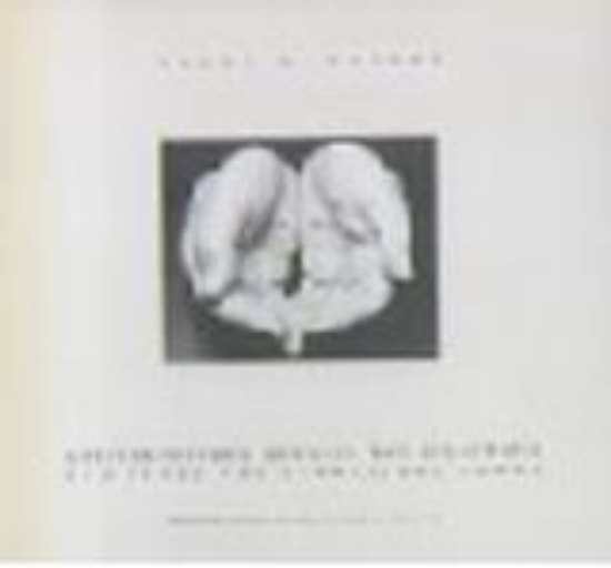 Εικόνα Αρχιτεκτονικής σημάδια και διδάγματα