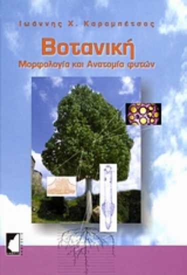 Εικόνα Βοτανική