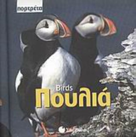 Εικόνα Πουλιά