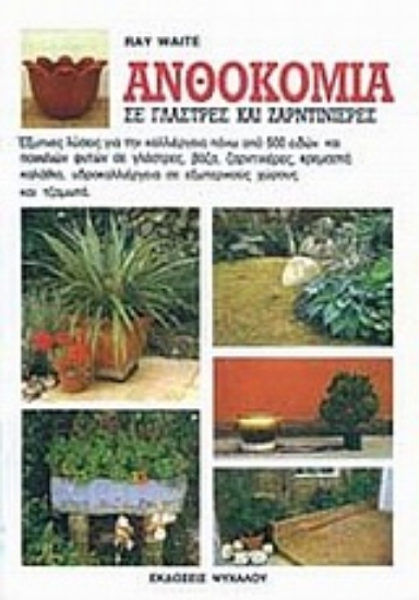 Εικόνα Ανθοκομία, Σε γλάστρες και ζαρντινιέρες 