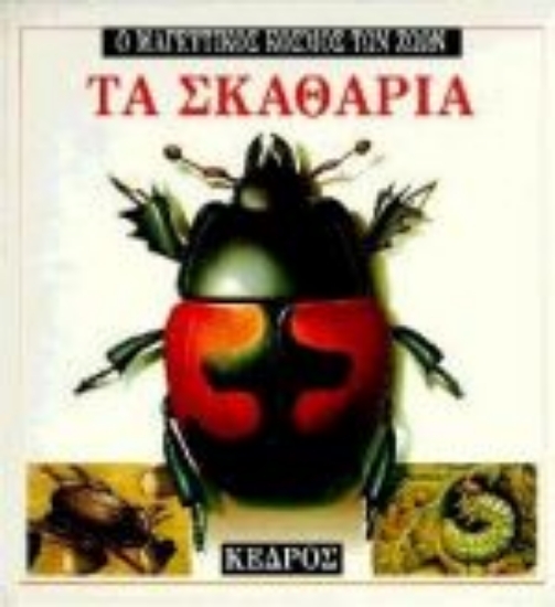 Εικόνα Τα σκαθάρια