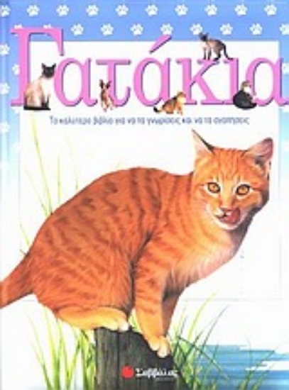 Εικόνα Γατάκια