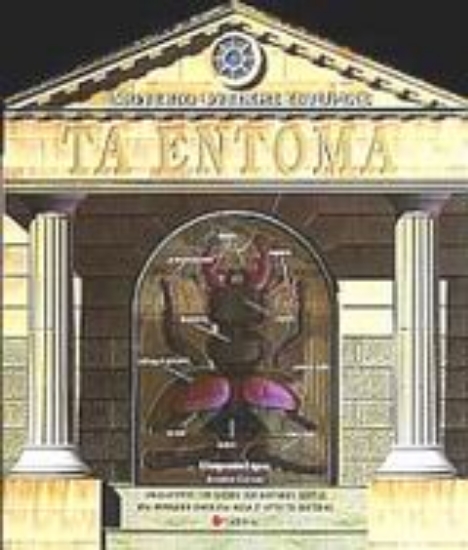 Εικόνα Τα έντομα, Μουσείο Φυσικής Ιστορίας