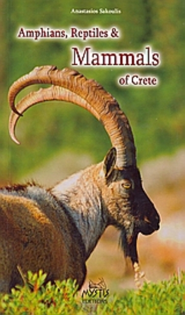 Εικόνα της Amphians, Reptiles and Mammals of Crete
