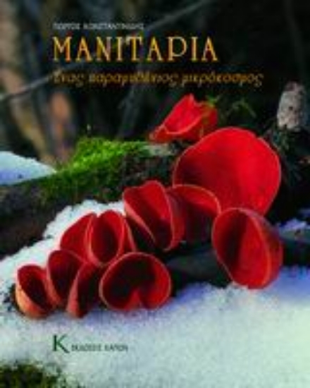 Εικόνα Μανιτάρια