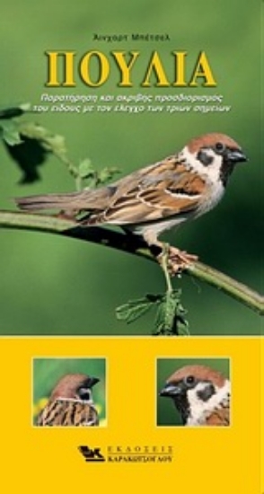 Εικόνα Πουλιά