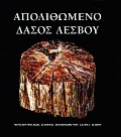 Εικόνα Απολιθωμένο δάσος Λέσβου