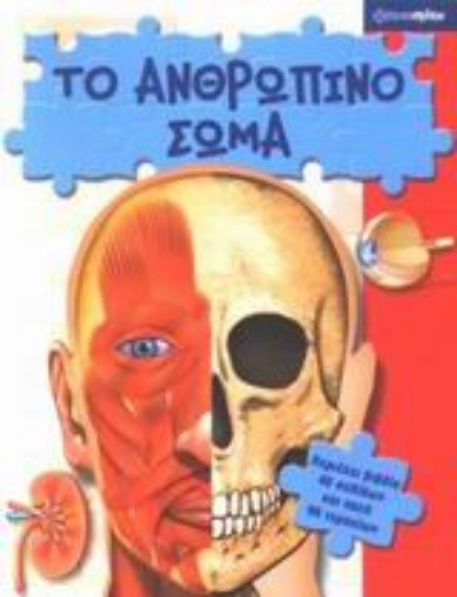 Εικόνα Το ανθρώπινο σώμα