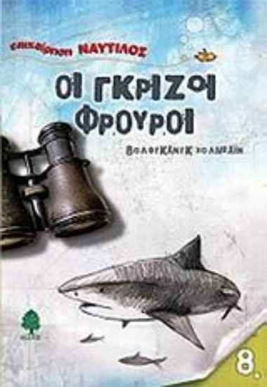 Εικόνα Οι γκρίζοι φρουροί