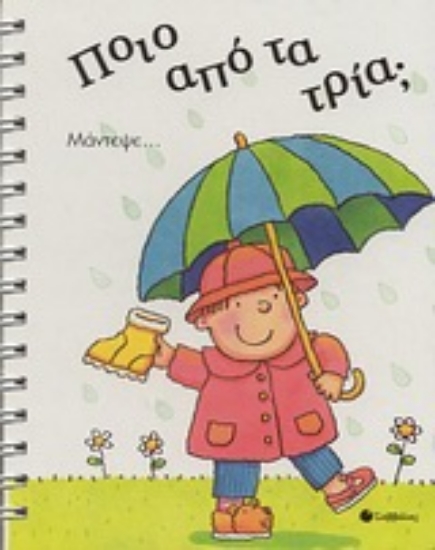 Εικόνα Ποιο από τα τρία;