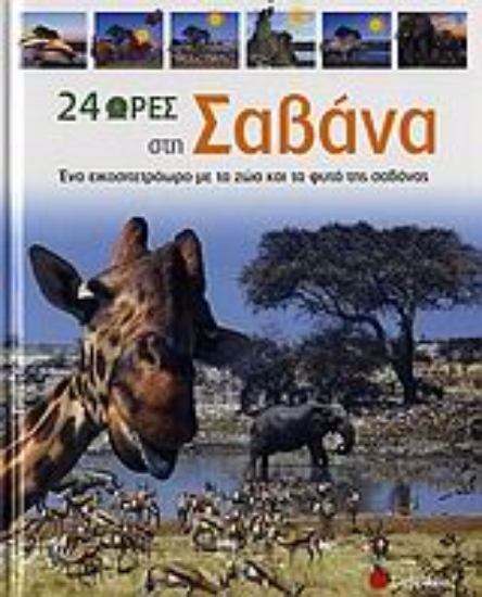 Εικόνα 24 ώρες στη σαβάνα