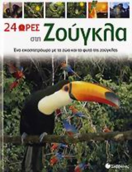 Εικόνα 24 ώρες στη ζούγκλα