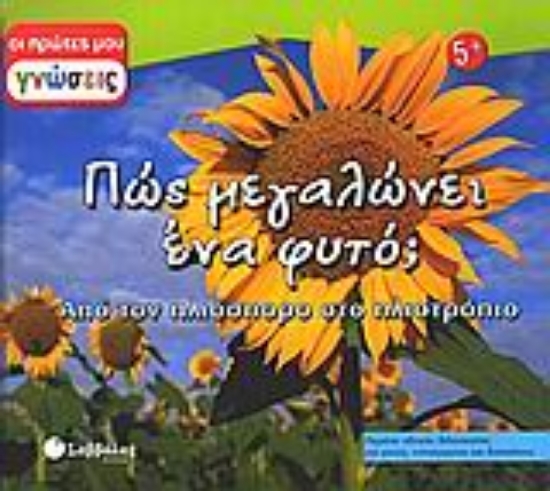 Εικόνα Πώς μεγαλώνει ένα φυτό;