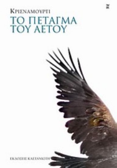 Εικόνα Το πέταγμα του αετού *