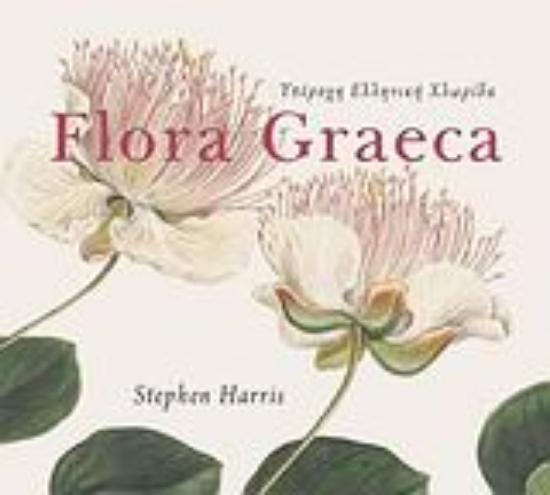 Εικόνα Υπέροχη ελληνική χλωρίδα Flora Graeca