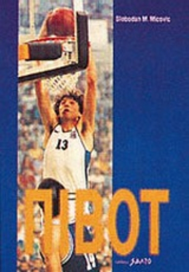 Εικόνα Πίβοτ