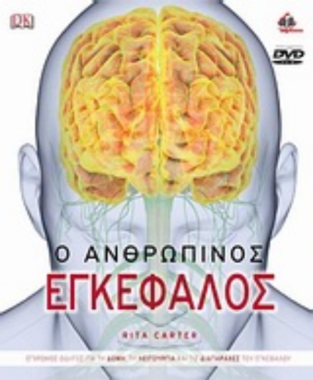Εικόνα Ο ανθρώπινος εγκέφαλος