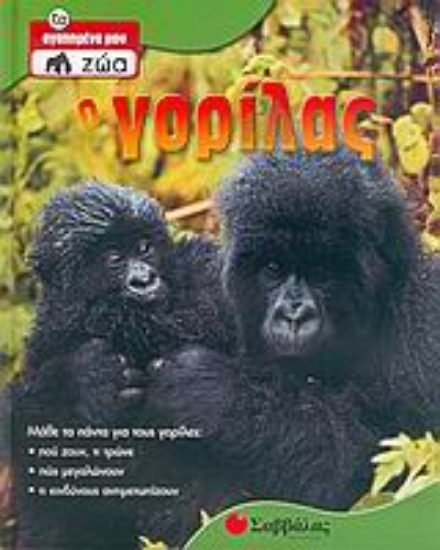 Εικόνα Ο γορίλας